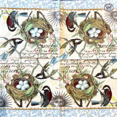Lot of 4 Paper Beverage/Cocktail Napkins for Decoupage – Flowers, Birds