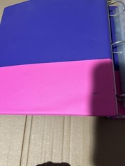 Vintage Lisa Frank Koala Binder With Sailor Moon Trading Cards