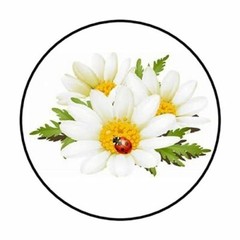 48 DAISY FLOWER LADYBUG ENVELOPE SEALS LABELS STICKERS 1.2″ ROUND