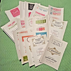 Anna Griffin Well Said 119 Vellum Quote Stickers For Cards And Scrapbooking