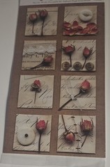 fresh cuts mini Rebecca Sower antique roses x8 to cut