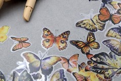 yellow butterfly sticker | yellow black butterfly beautiful themed PET