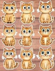 Big Eyed Kitten Die Cut Vinyl Stickers Set Scrapbooking Laptop Waterbottle