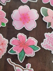 STICKERS x 10 Flowers Pink Cherry Blossom Orchid Tree Sticker CHE2