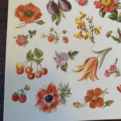 Vintage AGC Inc. – Wild Flowers Sticker Sheet