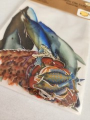 Paper Reflections 31 Vellum Die Cuts “Tropical Fish” Ocean Beach Retired New #23