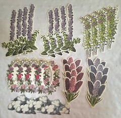 ANNA GRIFFIN 250+ Unlabeled DIE CUTS Flat+3D FLOWERS BIRDS BUTTERFLY+ NEW (PA51)