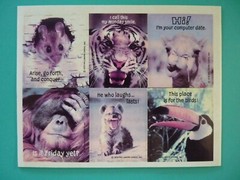 Vtg 1979 Hallmark Stickers REALISTIC ANIMALS w/FUNNY PHRASES (2) Complete Sheets