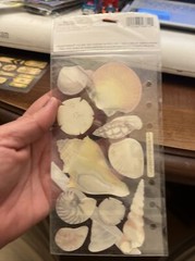 Sticko Vellum 2 Sheets Stickopotamus Sea Shells