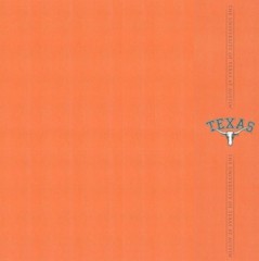 University of Texas Longhorns NCAA Scrapbook: Kit – Sticker – Paper YOU CHOOSE