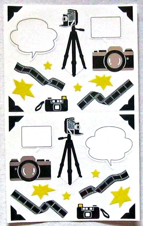 Mrs Grossman 4×6 inch «Photography’ Sticker Sheet (Vintage-Retired)