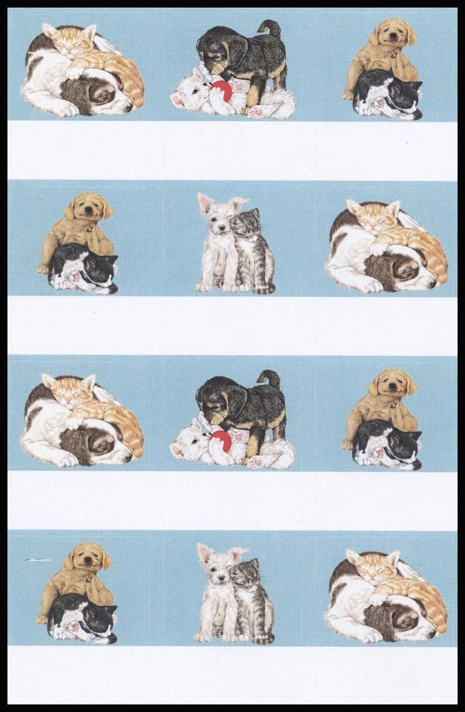 Stickers – Cat Dog – Any Occasion CL002