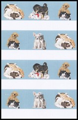 Stickers – Cat Dog – Any Occasion CL002