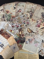 Vintage Bird Ephemera Bundle Junk Journal Kit Cottagecore Nature Scrapbook 69 Pc