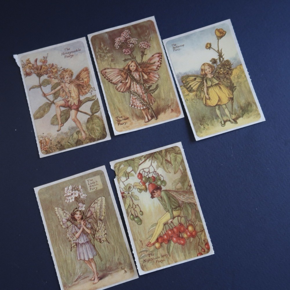Vintage Brier Rose Flower Fairies Sticker Mod Lot Victorian Greetings