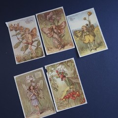 Vintage Brier Rose Flower Fairies Sticker Mod Lot Victorian Greetings