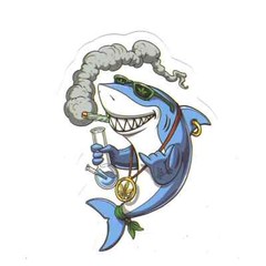 Stickers for Water Bottles, 420 Stickers for Teens Adults, Vinyl Waterproof