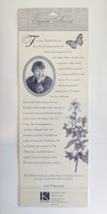 Elizabeth Brownd Traditional Butterflies Embossed Scrapbook Stickers K&Company