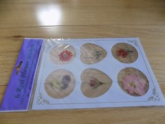 Vintage Real Pressed Flower Sticker secure stationery & envelopes stickers