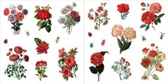 Bunches of Botanicals Sticker Book (Over 500 stickers!) – NEW