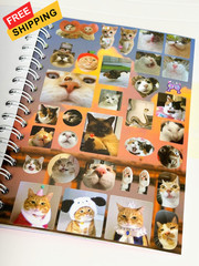 Cat Sticker Book, 30 Pages Over 800 + 10pcs Creative Kawaii Style 1