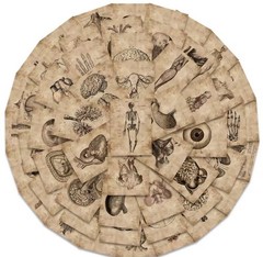 56pcs Human Anatomy & Physiology Vinyl Stickers Vintage Medical Student Notebook