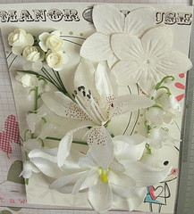 IVORY Mix – 11 Flowers 5 Styles PAPER & SILK 20-80mm Manor House HH5