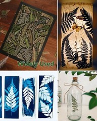 48 Pcs Mix Natural Dried Pressed Ferns for Cake Decorating, Real Fern