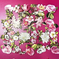 Anna Griffin’s Latest Carte Noire Floral 3D Stickers 36 PCS of Flowers, Layers