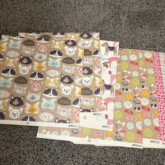 Anna Griffin Best In Show Collection 3D Stickers Embellishments & 24 12×12 Paper