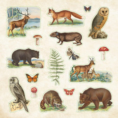 Zoological Ephemera Sticker Book (Over 680 Stickers!) (Sticker Books)