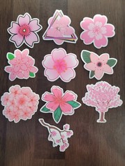 STICKERS x 10 Flowers Pink Cherry Blossom Orchid Tree Sticker CHE2