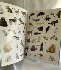 Baby Animals Polar Pals Soft Cover Sticker Book (Over 50 Reusable Stickers)
