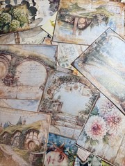 200+ cottage core mystical forest kit Lot Junk Journal Ephemera