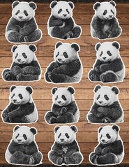 Panda Die Cut Vinyl Stickers Set Scrapbooking Laptop WaterBottle