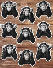 Monkey Hands on Head Die Cut Vinyl Stickers Set Scrapbooking Laptop Water Bottle
