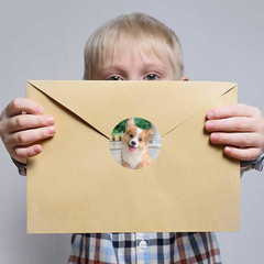 600 Puppy and Kitten Stickers 1.5 Inch 16 Styles for Kids Birthday Party