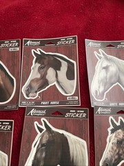 Vintage Advanced Graphics Lot Of 9 Horse Stickers