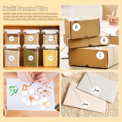 White Dot Sticker 1 inch 500Pcs Round Color Code Label Circle Dots w/Hanging …
