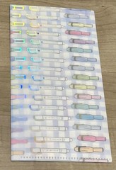 New Happie Scrappie Hononichi Mildliner Sticker Folder