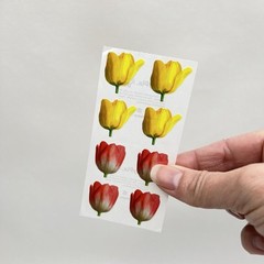 Paper House Tulip Flower Stickers Sticki Pix Scrapbooking Journals