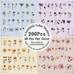 Pegatinas de flores secas para scrapbooking, pegatinas de flores prensadas