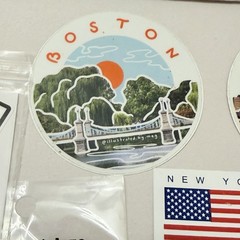 Vintage Sticker Decal Lot Rare Weiner Dog NY Boston Groovy Tiger NY Boston NH