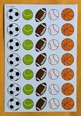 Themed/Sport Sticker Sheet