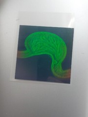 VTG Polaroid 3-D 90’s Holograms Prototypes – Dissected Human Stomach 3×3″