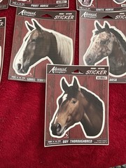 Vintage Advanced Graphics Lot Of 9 Horse Stickers