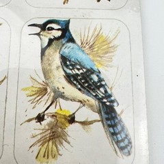 NOS 1978 Vintage Rust Craft Sticker Pack Brandywine Art Birds Sealed 4 Sheets