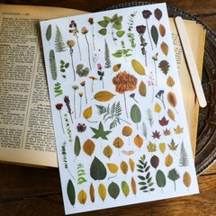 Rub-on stickers | 3 sheets watercolor green leaf botanical flower floral leaves