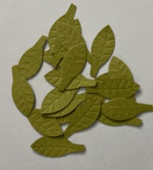 GREEN MID BIRCH LEAF Die-cut Embellishment(20pc)Jolee’s •Garden•Christmas•Stem