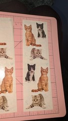 Mrs Grossman’s Stickers Adorable Kittens Cats 3 Strips (2 Full/1 Partial)